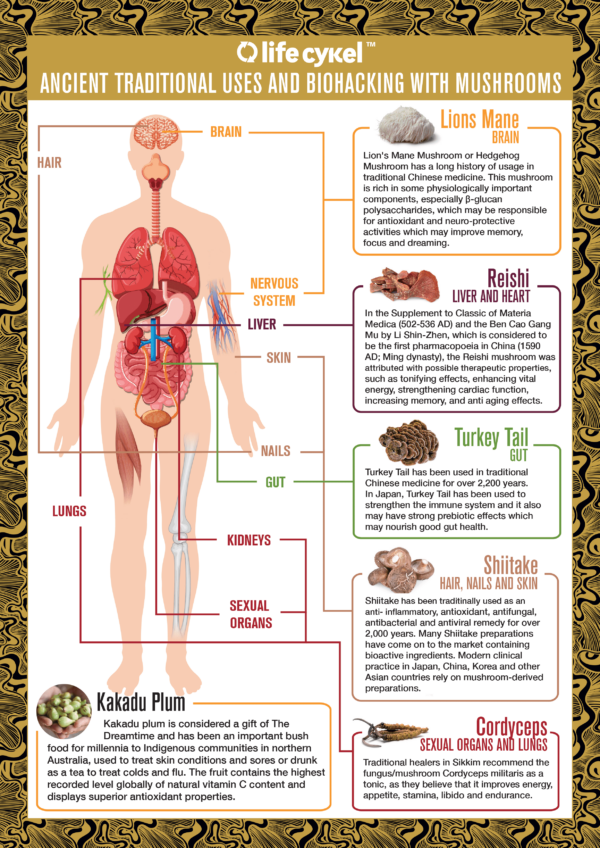 Shitake |  Hair, Skin & Nail Growth - Image 2