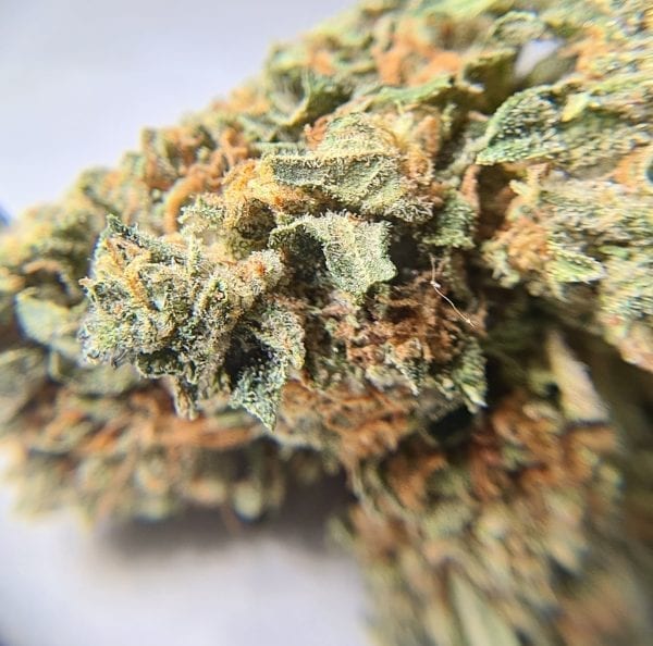 1 Oz Special | MK Ultra AAA | Mind-blowing Indica - Image 2