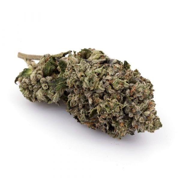 1/2oz  Special | Frost Monster | Indica | A frosty slap in the face