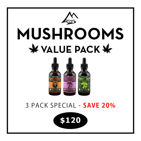 Lifecykel Mushroom Tinctures | 3 Pack Set - Save 20%