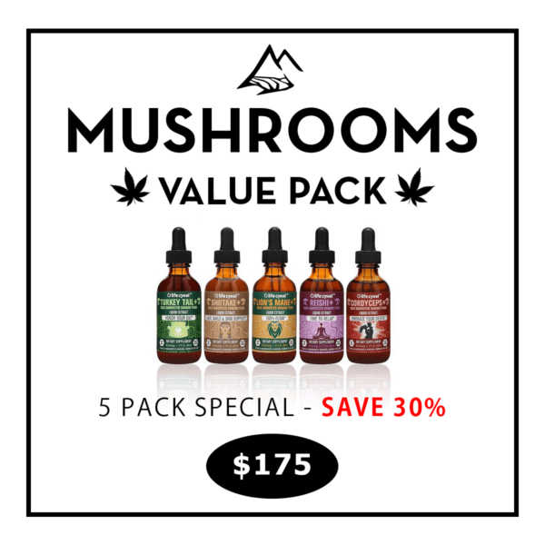 Lifecykel Mushroom Tinctures | 5 Pack Set - Save 30%