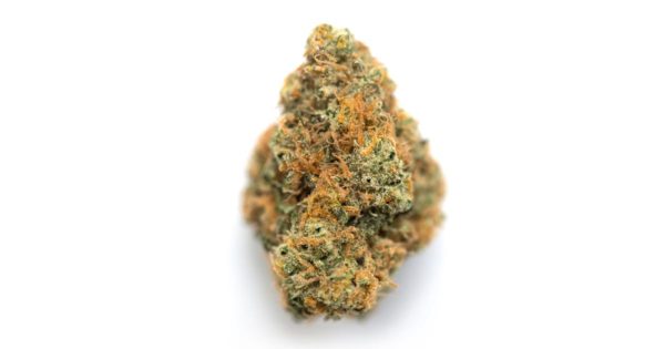 Rock Bud | Get rocked by your Bud | Indica