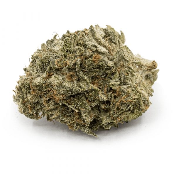 1 Oz special | Chocolate Cheesecake | Hybrid |