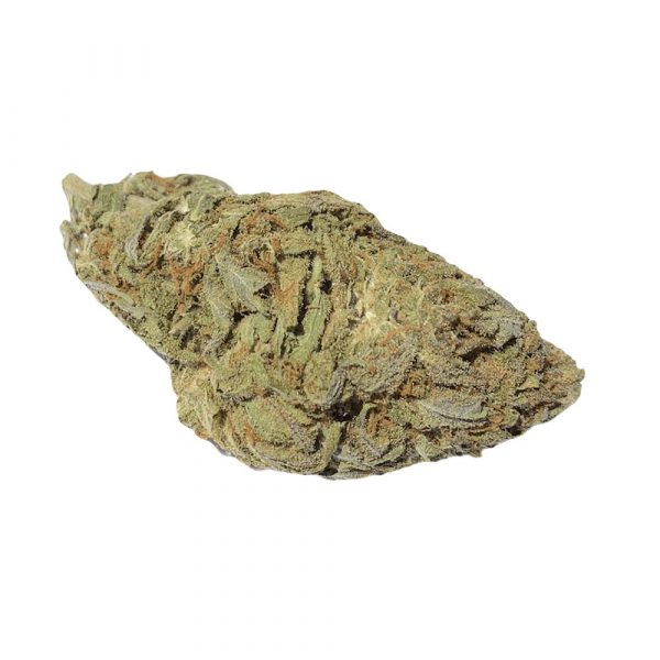 1/2oz Special - Apricot Kush | AAAA | Indica