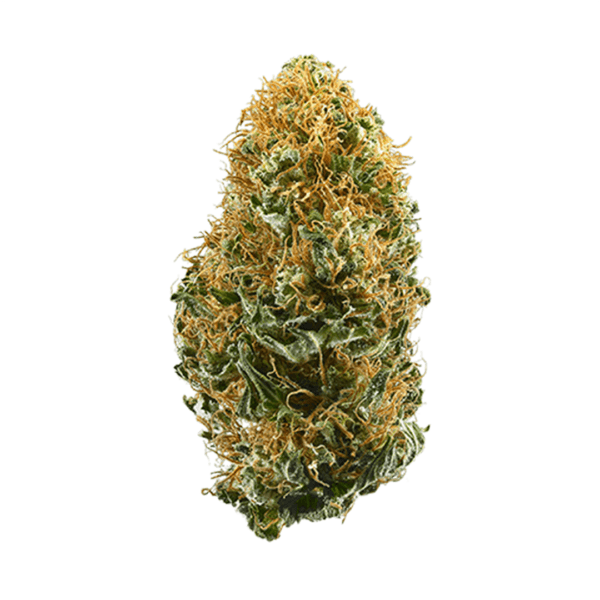 White Widow | Sativa | This one has a Bite