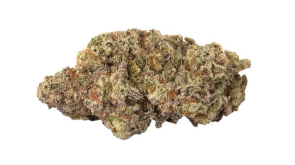 Mac1 | Hybrid | The original MAC daddy