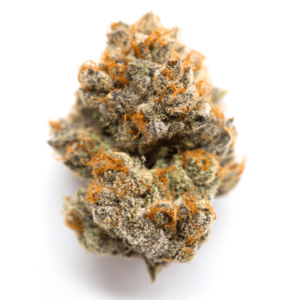 Blue Sherbet | Sativa | For all you lactose intolerant pot heads out there