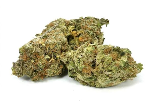 Green Crush | Sativa | Get crushed 100% pure sativa !