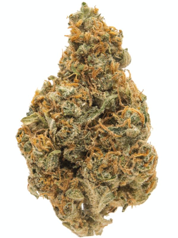 Chiesel | Hybrid | Get hammered