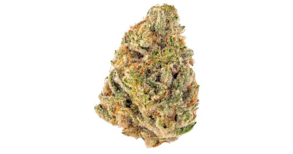 Pink Berry | Indica Dominant Hybrid | You found it, now go to town