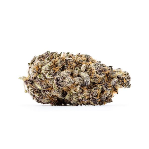tropicana cookies | Sativa Dominate Hybrid | Vacation cookies are the best cookies