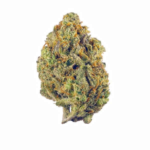 Super Silver Haze | Sativa | AAAA+ Timeless Strain