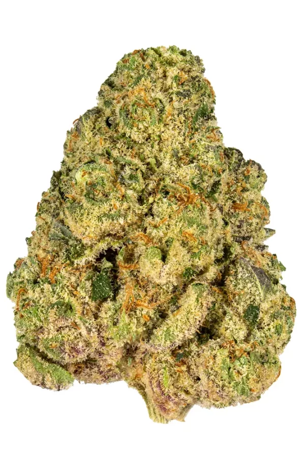 Jet Fuel | Hybrid | AAAA+ | The fuel that will get you high