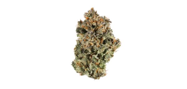 Rainbow Sherbert | Hybrid | The best of the best