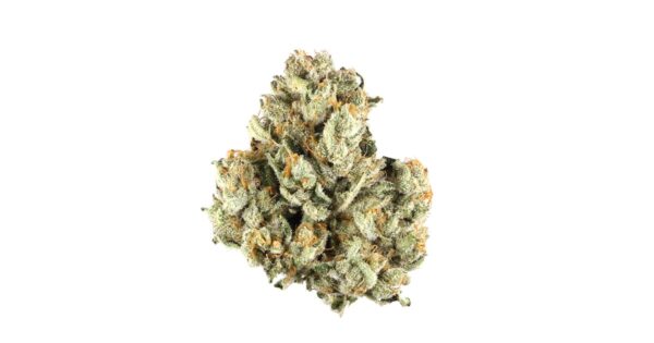Golden Tiger | Sativa | Golden tiger hidden stoner