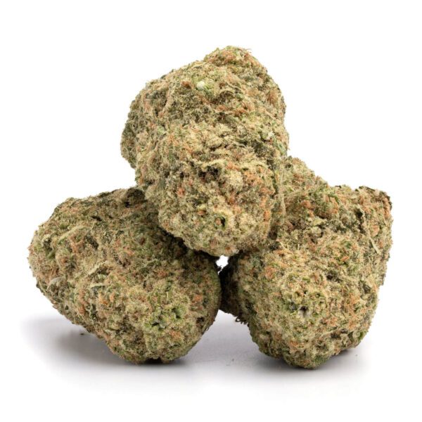 White Castle | Hybrid | The king of buds