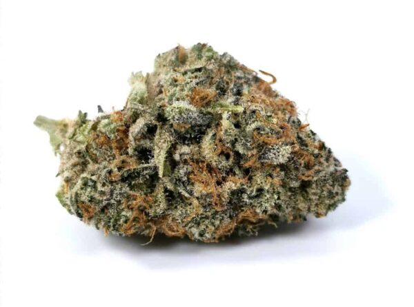 Gelato Mintz  - Indica AAA+  Minty goodness