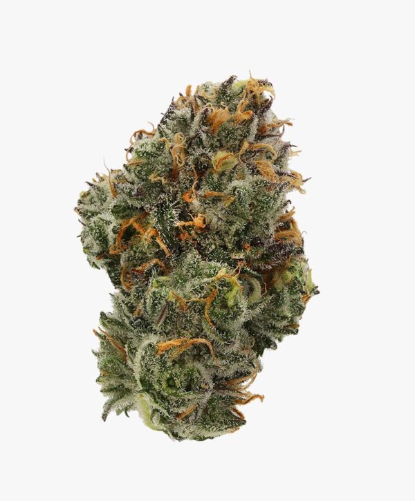Lime Cake | Hybrid | Sweet and sour