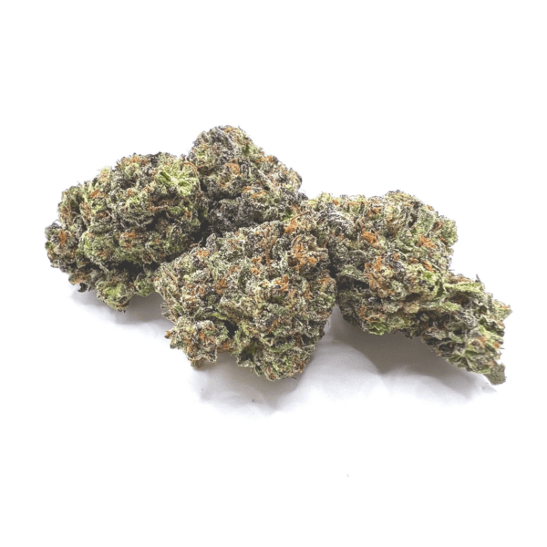 Frosted Grapes |  Hybrid
