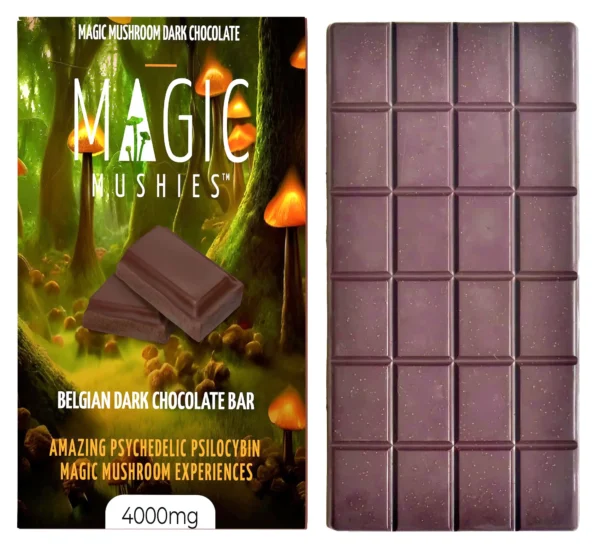 Belgian Dark Chocolate -  4g Magic Mushroom