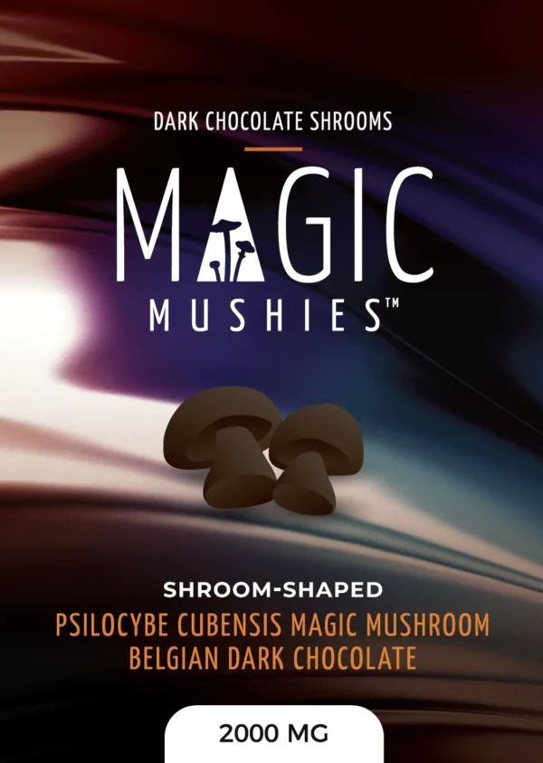 SHROOM SHAPED BELGIAN DARK CHOC - 2G MAGIC MUSHROOM