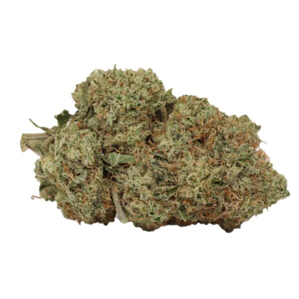 Blueberry Jack - Hybrid - AAA+ - Image 2