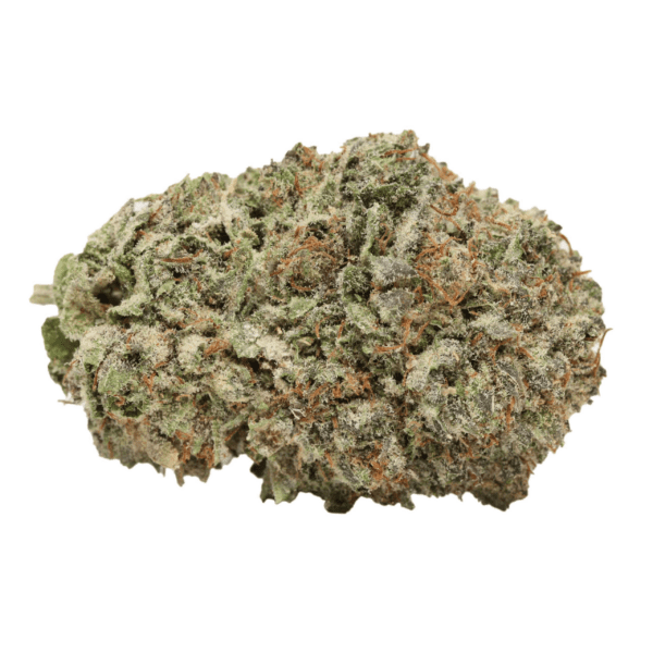 Black Cherry Soda - Hybrid - AAAA+ - Image 2