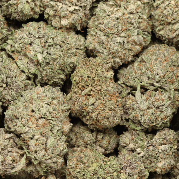 Black Cherry Soda - Hybrid - AAAA+ - Image 3