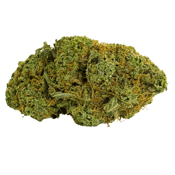 Citrique - Sativa - AAAA+ - Image 2