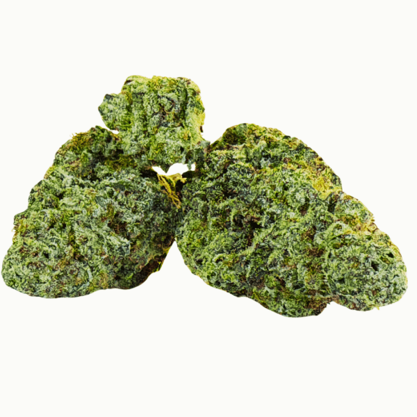 Cosmo - Hybrid - AAAA+
