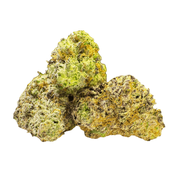 Cookies & Cream - Hybrid - AAAA+